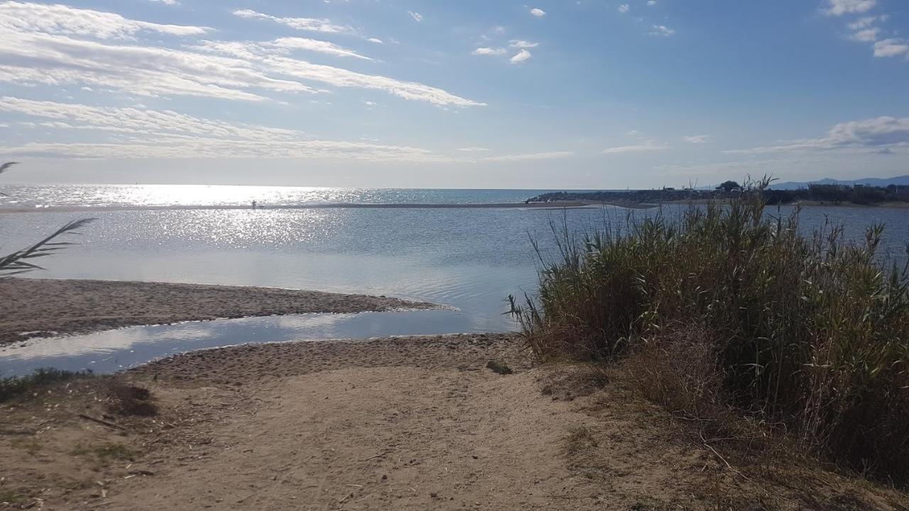 Cap Coudalere Apartamento Le Barcarès Exterior foto